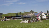 Photovoltaik-Anlage im Allgäu - ddp/dapd/M. Latz